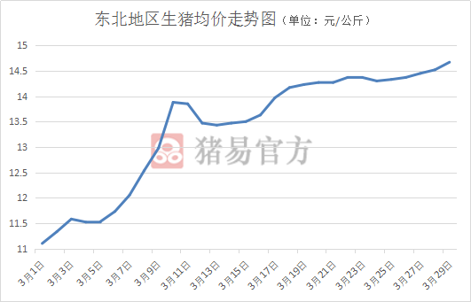 最新生豬價(jià)格走勢(shì)分析與預(yù)測(cè)