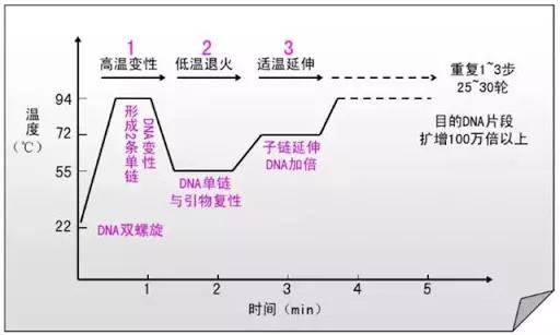 喵盒最新動態(tài)，科技潮流引領者，新寵兒登場