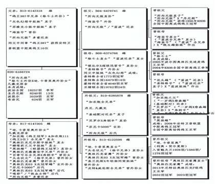 一肖一碼中持一一肖一碼,準(zhǔn)確資料解釋落實_專家版18.257