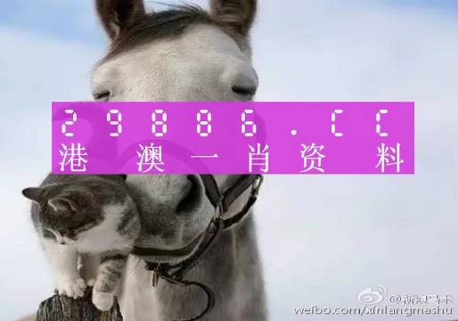 2024澳門(mén)買(mǎi)馬最準(zhǔn)網(wǎng)站,最新答案解釋落實(shí)_網(wǎng)紅版78.984