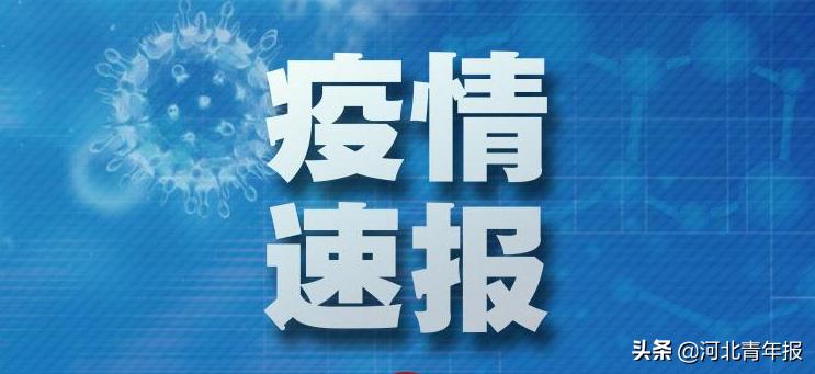 邯鄲最新疫情病例，城市反應(yīng)與防控措施