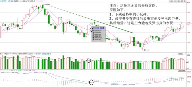 100%準(zhǔn)確一肖一.100%準(zhǔn),市場趨勢方案實施_LT11.985