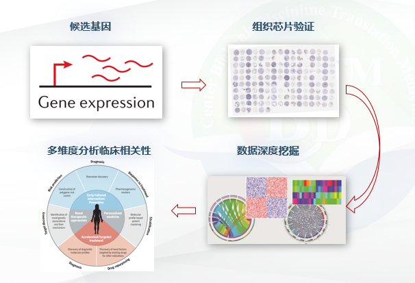 管家婆一肖一碼100%準(zhǔn)資料大全,深度應(yīng)用數(shù)據(jù)策略_Nexus20.223