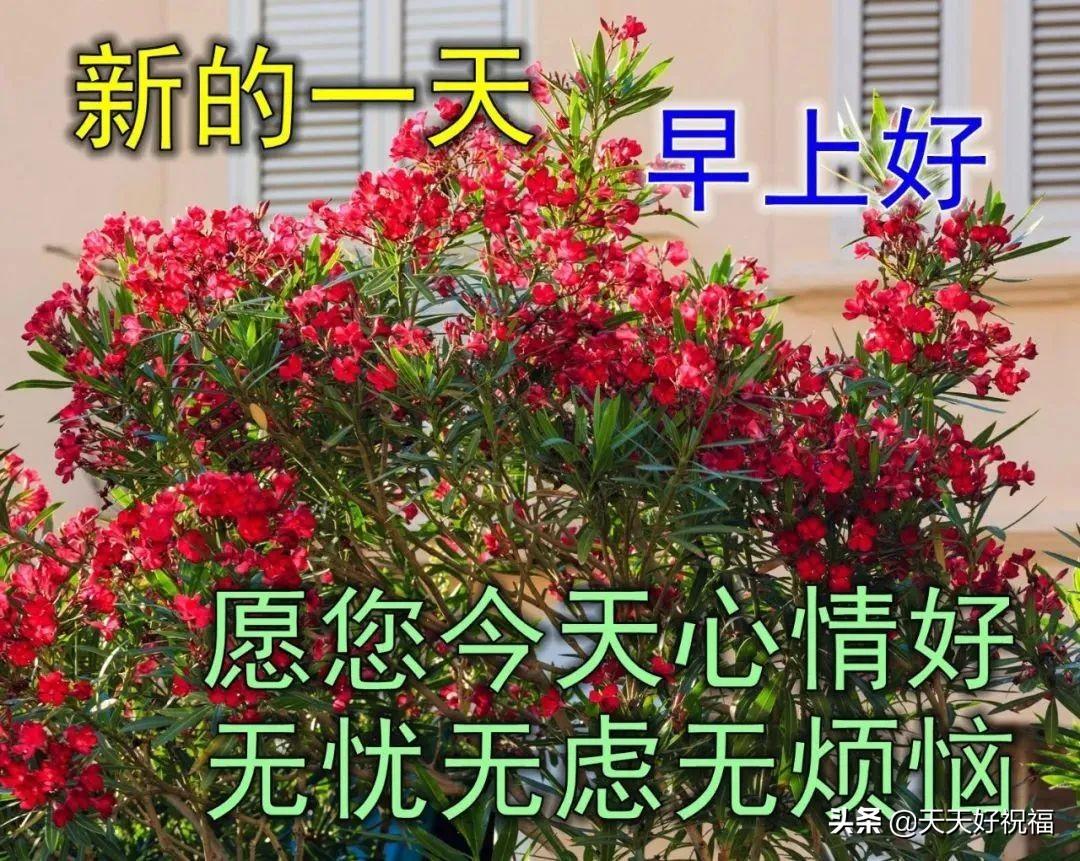 今日焦點(diǎn)，探索時(shí)代前沿，聚焦熱點(diǎn)話題的最新動態(tài)