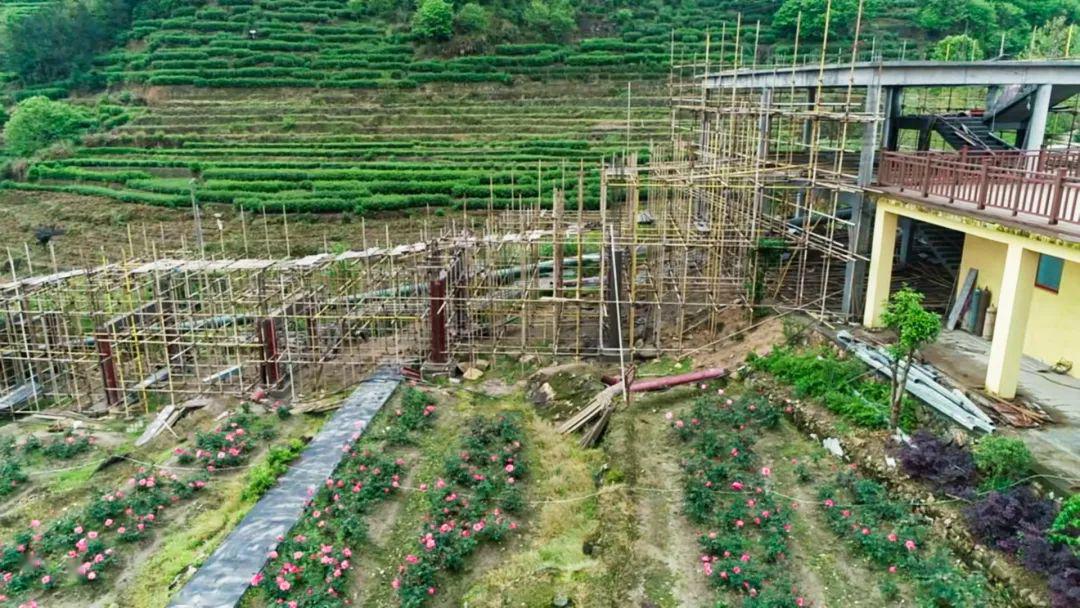 景寧未來繁榮藍(lán)圖，最新規(guī)劃揭秘標(biāo)題建議，景寧新規(guī)劃揭秘，描繪未來繁榮藍(lán)圖或景寧未來展望，最新規(guī)劃引領(lǐng)繁榮發(fā)展。