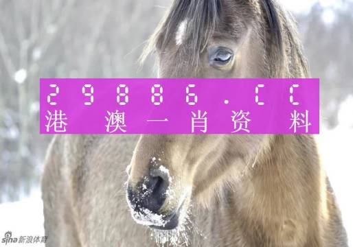 澳門一肖一碼100%期期精準(zhǔn)_98期,連貫評估方法_DP58.229