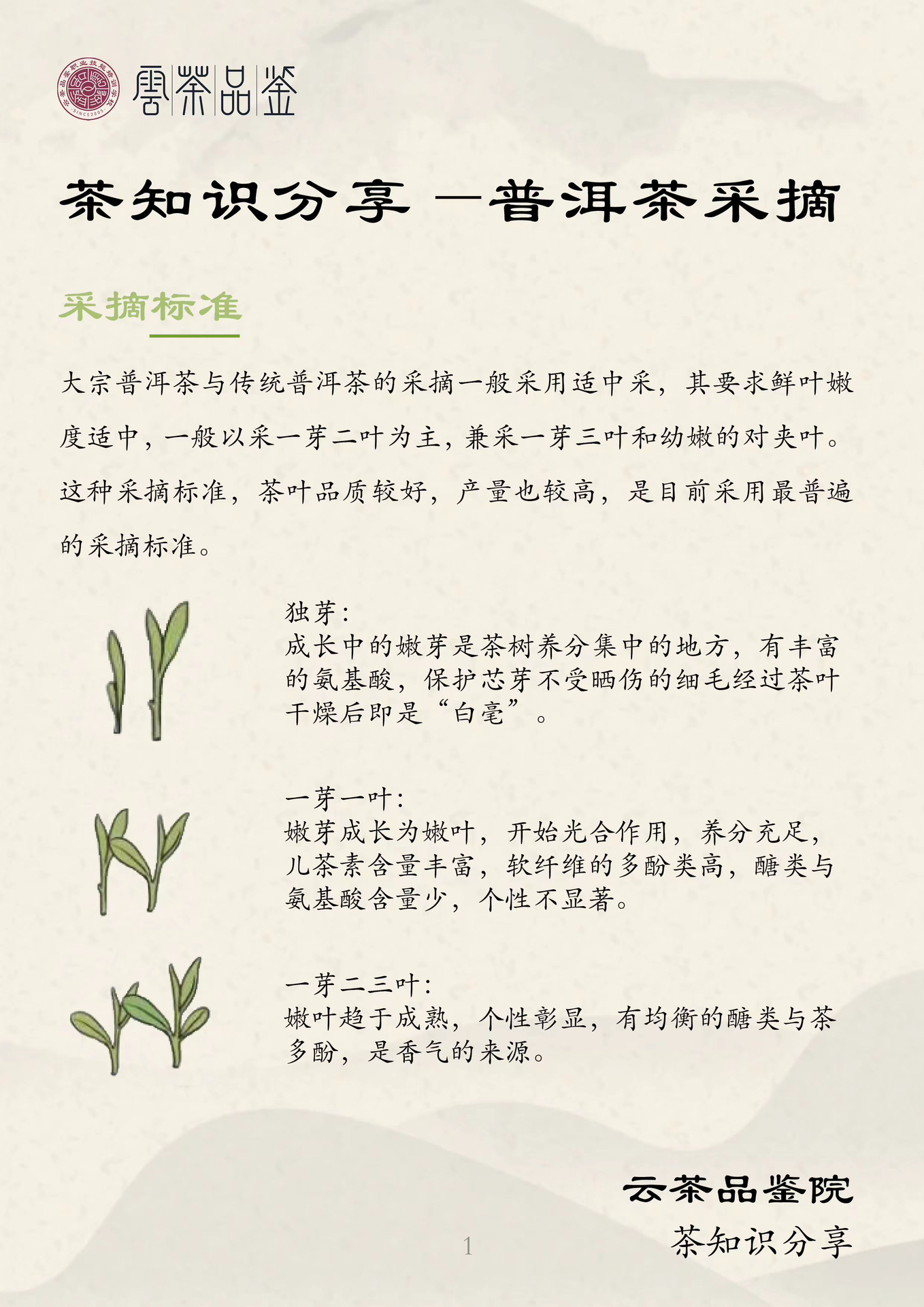 探索茶葉世界的最新奧秘與變遷，最新茶知識(shí)分享